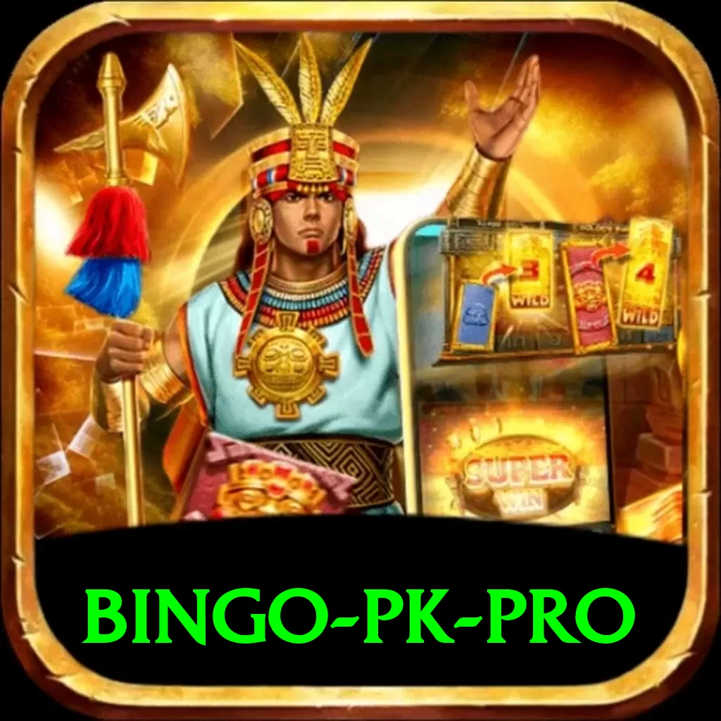 bingo PK Pro - 2