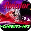 Winli Slots Max Gaming App